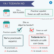 Pin En Espanol Adultos