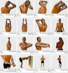 Check spelling or type a new query. Mejorar Cervicales Ejercicios Para Dolor De Espalda Ejercicios De Estiramiento Ejercicio Para Crecer