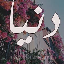 شعر اسم دنيا 2020 ابيات شعر باسم دنيا كلمات شعر لاسم دنيا صقور الإبدآع