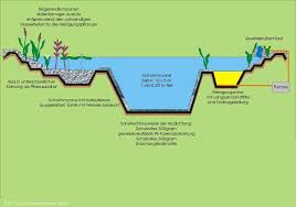 Schwimmteich Oder Living Pool Living Mitpool Oder Pool Schwimmteich In 2020 Natural Swimming Pools Natural Pool Swimming Pond