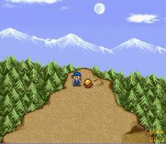 In front of where white iris lived or lives The Amazing Harvest Moon Web Site