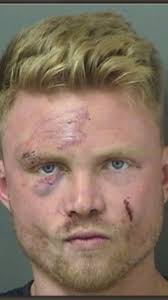 Police struggle with aggressive suspect in Palm Beach Gardens domestic  disturbance