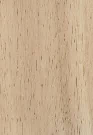Rubberwood Hevea Brasiliensis Hardwood Wood Hevea Brasiliensis