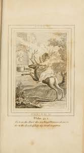 Emblems Divine And Moral New Ed Carefully Rev And Corr With Recommendatory Prefaces By Augustus Toplady And John Ryland New Emblems Woodcut Symbology