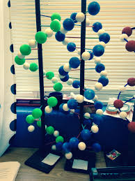 More Dna Models We Also Added Rna Models This Year Projeto Dna Maquete Dna Maquete De Dna