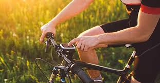 Fahrrad Navigation Drei Moglichkeiten Fur Die Tourenplanung Acv