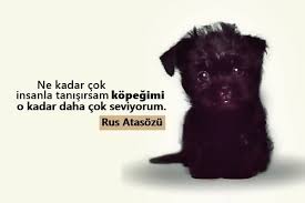 Hayvanlar Ile Ilgili Sozler Pek Guzel Sozler