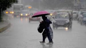Total rain today 0 mm. Heavy Rain Lashes Vadodara Holiday In Schools Tomorrow Weather Updates On July 31 India News India Tv