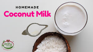 How To Make Fresh Coconut Milk For Baby Kids Early Foods Youtube