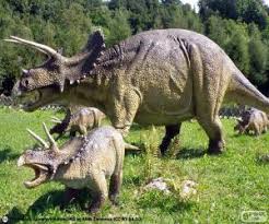 Whether the skill level is as a beginner or something more advanced, they're an ideal way to pass the time when you have nothing else to do like waiting in an airport, sitting in your car or as a means to. Dinosaurs Puzzles Jigsaw