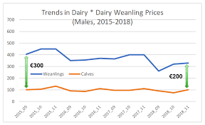 how much should beef farmers pay for bull calves from the