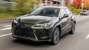 Image result for Nori Green 2019 UX