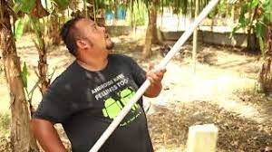 Sistem ini berkesan dan mudah digunakan dan menjimatkan kos serta tenaga kerja untuk teknik tanaman seperti ini. Contoh Kertas Kerja Projek Tanaman Kelapa Matag Cute766