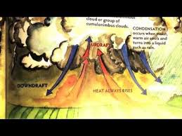 Read 5317 Module 3 Tornadoes By Gail Gibbons Read Aloud Youtube Gail Gibbons Read Aloud Why Read