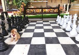 These versatile totes can even fit reusable water bottles as well! 3 Dog Friendly Wineries To Visit In The Hunter Valley The Annoyed Thyroid