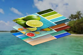 Maybe you would like to learn more about one of these? 8 Beautiful Color Palettes For Your Next Web Project Nora Kramer Designs