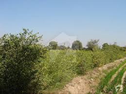 Check out the different types of land available including acreage, ranches, rural. 50 Acres Agricultural Land For Sale Tando Adam To Mirpur Khas Road Mirpur Khas Id12783091 Zameen Com