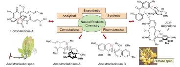 Image result for Kotschya uguenensis