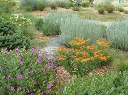 Flowers that grow in loveland co. Getting Back To Our Roots Nocostyle Com