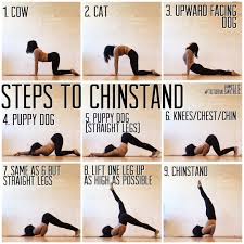Yoga Feature On Instagram Today S Yogafeature By Miz Liz Steps To Chinstand Again Made This So L Puppy Pose Yoga Partner Yoga Yoga Tutorial