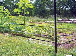 Learn how to keep deer away with these tips that will keep them from eating your plants and vegetable gardens. Use Vhs Tape To Deter Deer Organic Gardening Mother Earth News Deer Deterent Organic Gardening Deer Fence