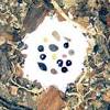 If you're looking for seeds with the best genetics, it's best to look for a seller that sells a large strain variety. 1