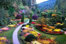 We did not find results for: Victoria Hop On Hop Off Bus Tour And Butchart Gardens Entry 2021
