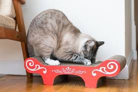 Want to learn more about scratching solutions? The Best Cat Scratchers For 2021 Reviews By Wirecutter