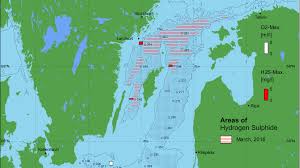 Und wer sich für ersteres entscheidet, wird früher oder später am schönsten meer deutschlands landen: Die Ostsee Todeszonen Wissenschaftsjahr