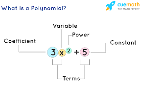 Maybe you would like to learn more about one of these? Polynomials What Are Polynomials Definition And Examples