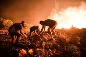 Jul 29, 2021 · a massive forest fire in southern turkey destroyed at least one village on wednesday (july 28), as homes at four neighborhoods were evacuated. 1pifm80s5vvism