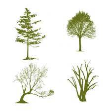 Beautiful Green Trees Silhouette Vector Image And Background Tree Silhouette Silhouette Vector Cartoon Trees