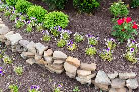 Plant species like rock cress that are practically made for alpine slopes and terrain. Rock Landscaping For Spring Asphalt Materials