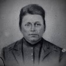 Owl Camouflage in Nature