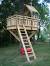 Inside Tree House Designs