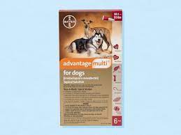 We did not find results for: Best Flea And Tick Medicine For Dogs In 2021