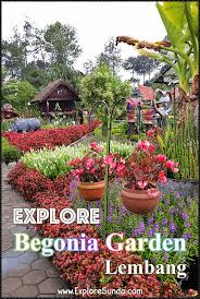 Begonia Garden In Maribaya Lembang Di 2020
