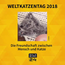 Das portal ist in die salzburg digital gmbh, ein tochterunternehmen der salzburger nachrichten, eingegliedert. Salzburg24 Home Facebook