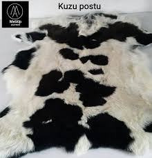 koyun postu koylar