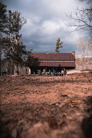 This is absolutely right!!!!! Bub is a true legend and his cabin is a  Landmark in Johnson County. Everyone needs to go check it out!!!!