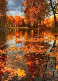 Pin Van Anita Westendorp Op Natuur Landschappen Landschapsfoto S Achtergronden