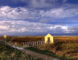 Alviso Marina
