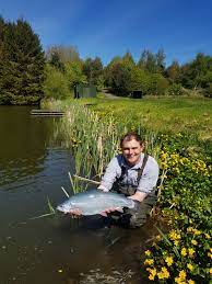 Blue Trout Fly Fishing Catching Fish Pier Fishing