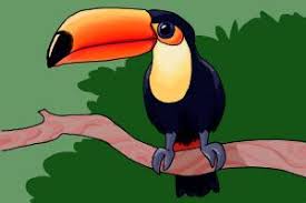 Project tucan draw how to draw a realistic toucan free printable toucan coloring pages colorful toucan rainforest animal toucan drawings toucan fun facts toucan cartoon clip art rainbow billed toucan making a toucan for kids toucan bird paintings toucan art lesson toucan sam. Toucan Bird Drawing For Kids Novocom Top