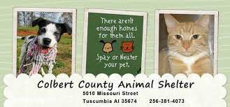 Colbert county animal shelter puppies. Colbert County Animal Shelter Home Facebook