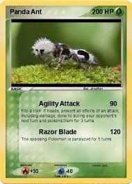 Image result for panda ant