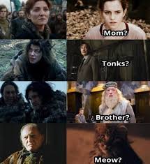 Harry Potter Memes Hilarious Got Memes Harry Potter Funny
