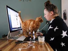 If you want to land a work from home job, you'll have to be diligent with your search and focus on making sure you meet the criteria outlined in the job listing. 8 Tips To Work From Home And Manage Time More Effectively World Economic Forum