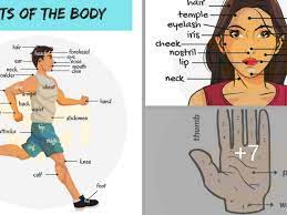 Parts Of The Body In English Eslbuzz Learning English Learn English English Verbs English Vocabulary