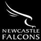 Newcastle Red Bulls V Gloucester Rugby event image